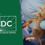 Death toll from Lassa fever hits 168 at week 38 -NCDC reveals
