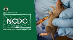 Lassa Fever Deaths Rise To 168 In Nigeria 300x166