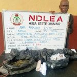 NDLEA arrests 75-year-old for drug peddling in Abia — Daily Nigerian