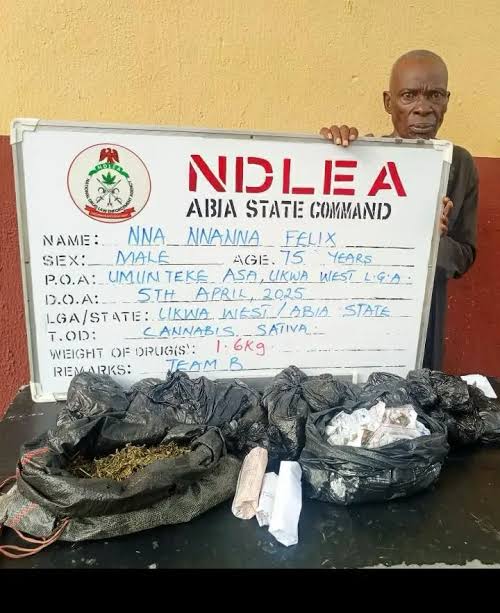 NDLEA arrests suspects with skunk and tramadol in raids nationwide NDLEA arrests 75-year-old for drug peddling in Abia — Daily Nigerian
