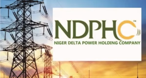 House Committee Inspects NDPHC 565MW Plant, Commends High Safety Standards • Channels Television