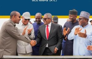 Nigeria Ethiopia Strengthen Economic Ties With Dangote Investment 300x192