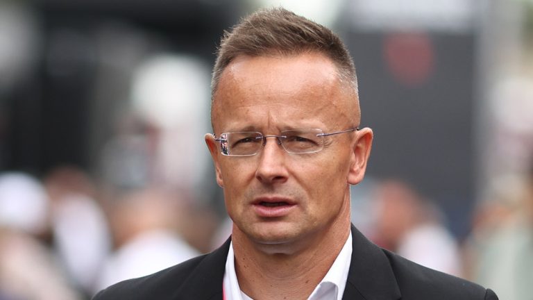 Hungary accuses Polish PM of ‘defending terrorists’ — RT World News