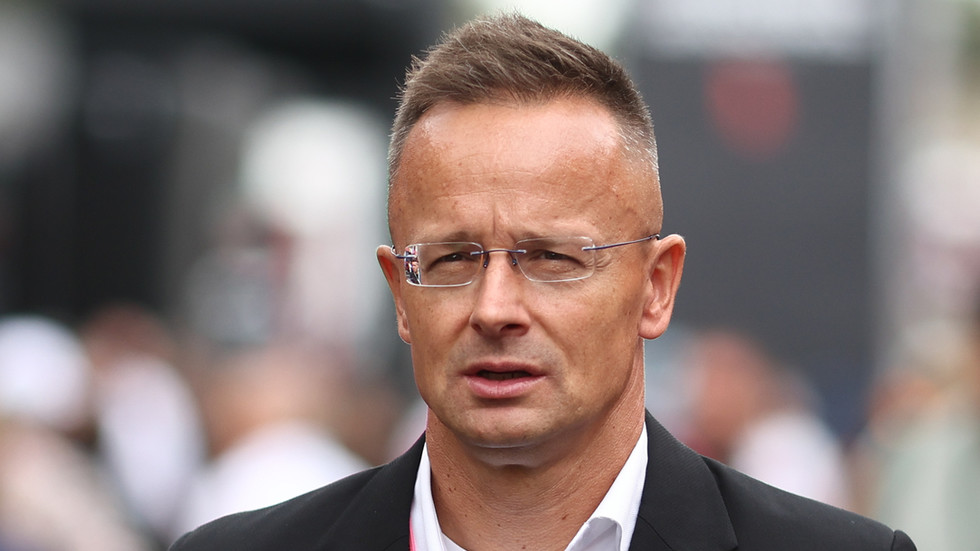 Hungary accuses Polish PM of ‘defending terrorists’ — RT World News