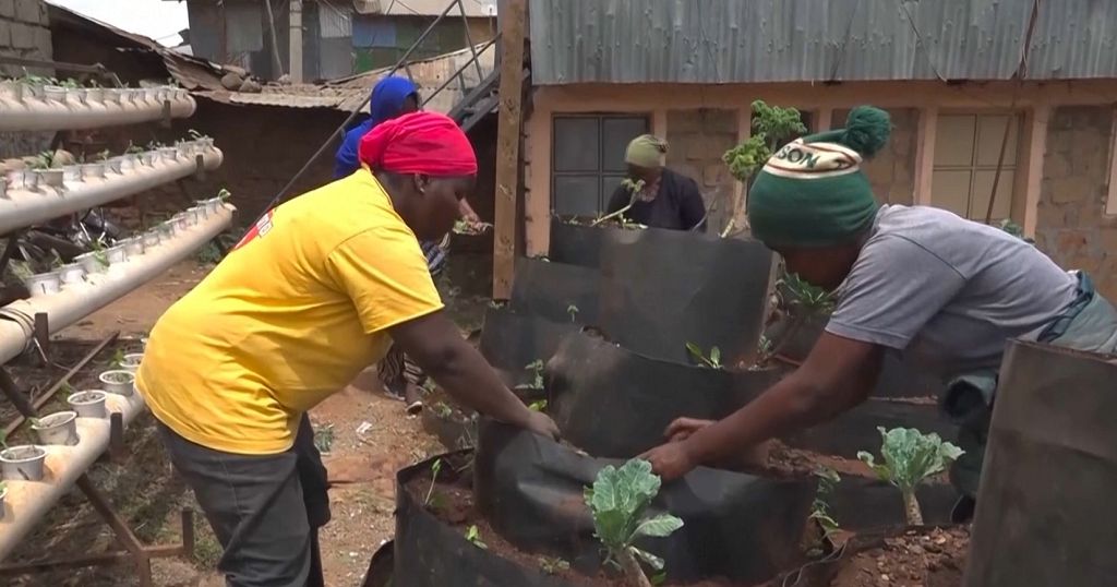 The Nubian women reviving traditional agriculture in Nairobi's largest slum