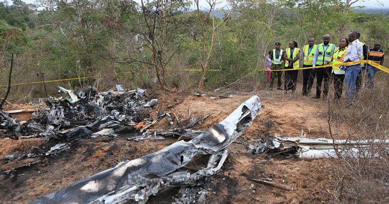 Ten tourists and local pilot die in plane crash in Kenya