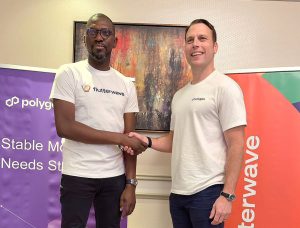 Polygon Powers Flutterwave Cross Border Payments Solution 300x228