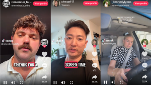 TikTok Lion Meme Explodes With Hilarious Concerns 300x169