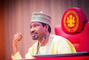 Nigeria Builds International Standard Healthcare System 300x202