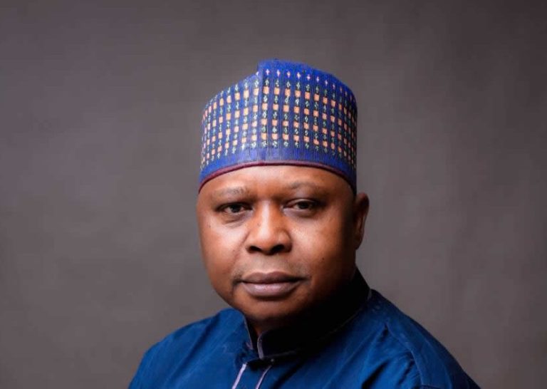 Turaki's call for foreign invasion is reckless, unpatriotic -- APC — Daily Nigerian