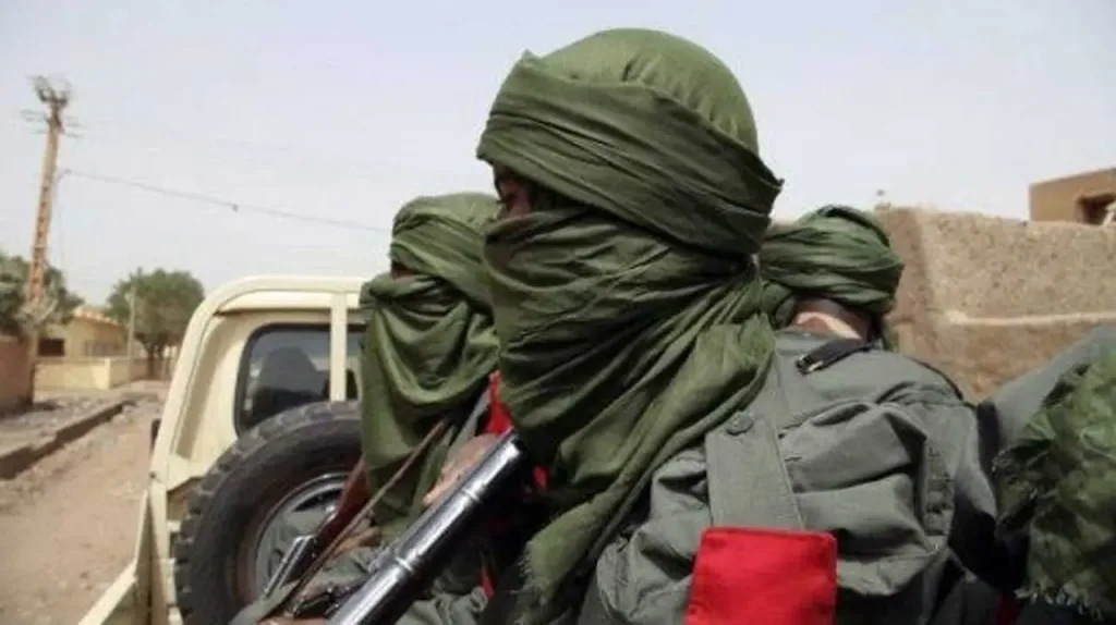 Gunmen kidnap 12 female farmers in Borno