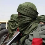 Gunmen kidnap 12 female farmers in Borno