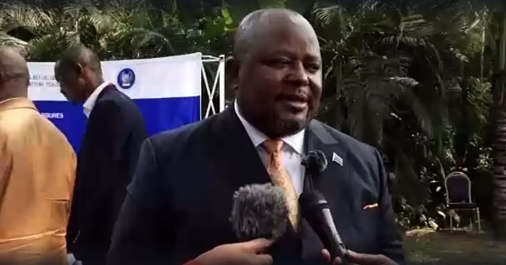 Aimé Boji Sangara elected president of DRC National Assembly