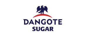 Dangote Sugar Appoints Thabo Mabe As New CEO 300x169