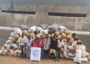 NDLEA Uncovers Drug Syndicate Using Social Media 300x214