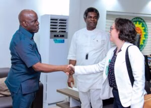 Nigeria’s Gas Resources Can Close Africa’s 600 Million Persons’ Energy Gap— IEA