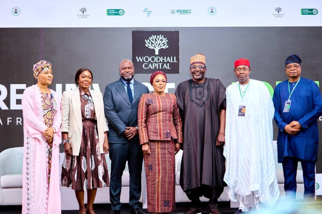 Woodhall Capital targets $50bn global investments into Nigeria -- Wusu — Daily Nigerian