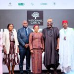 Woodhall Capital targets $50bn global investments into Nigeria -- Wusu — Daily Nigerian