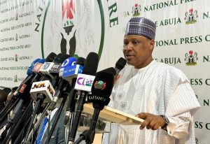 Nigeria US Relations Improve Through Diplomacy 300x206