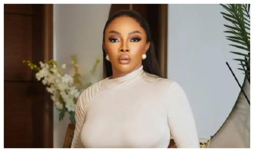 'Bathing babies daily could damage their skin' - Toke Makinwa claims