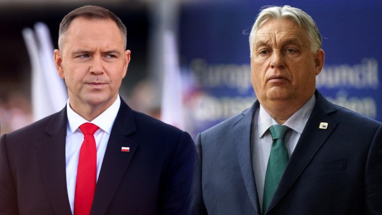 EU country’s leader drops talks with Orban — RT World News