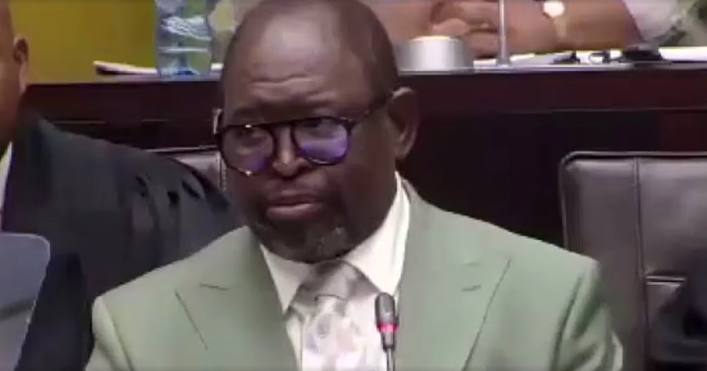 South Africa's finance minister slams Trump's genocide claims ahead of G20