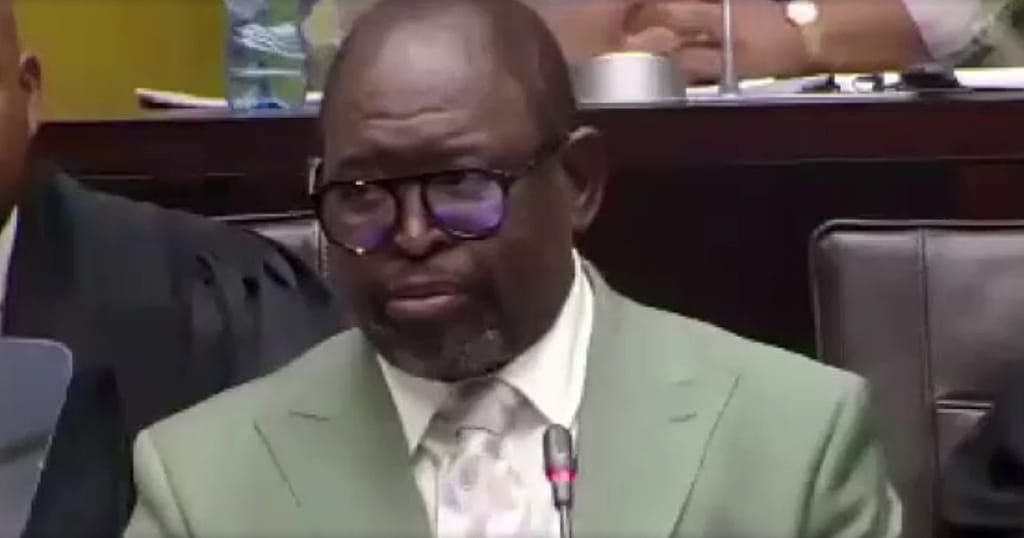 South Africa's finance minister slams Trump's genocide claims ahead of G20