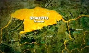 Dengue Fever Outbreak Hits Sokoto With 8 Confirmed Cases 300x180