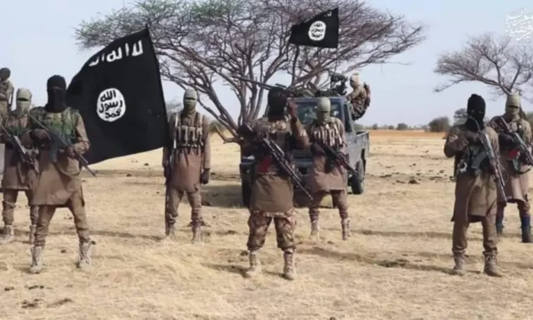 ISWAP terrorists attack Yobe communities, injure village head, loot health centre