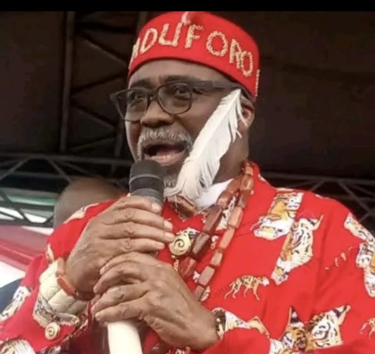 Defection: We won't miss Abaribe - APGA Vice Chairman
