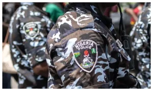Boko Haram Attack Foiled By Police In Yobe State 300x180