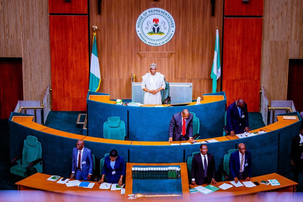 Reps tells Nigerian govt to cancel COVID-19 survival loans