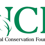 NCF-Logo-2020