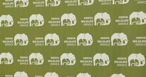Elephants Kill 4 In Kenya Human Wildlife Conflict 300x158