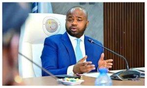 FIRS Defends Adedeji Against Arewa Groups Investigation Call 300x180