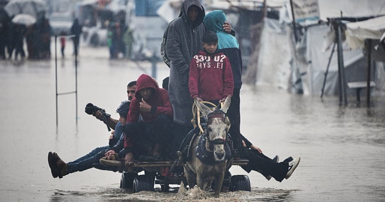 Severe winter storm puts 800,000 displaced Palestinians at risk, says UN