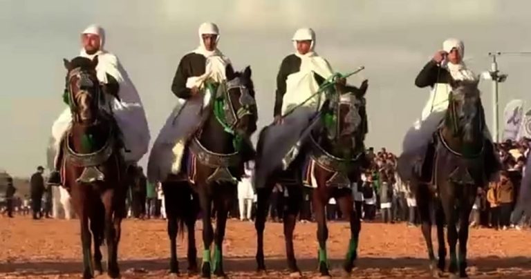 An equestrian festival in a western Libyan city goes international