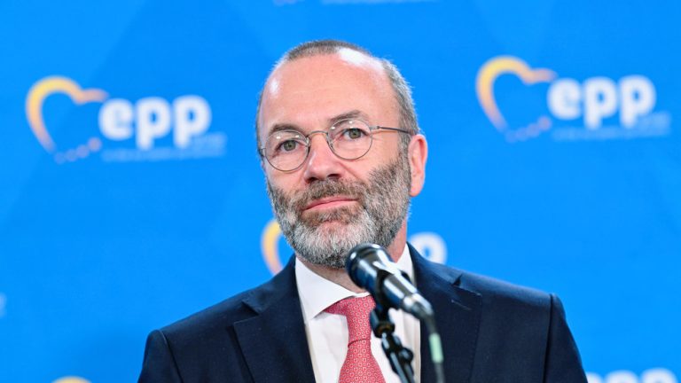 Head of EU Parliament’s biggest faction wants German soldiers in Ukraine — RT World News