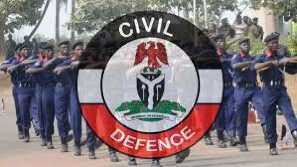 NSCDC records 125 rape, vandalism cases in Jigawa