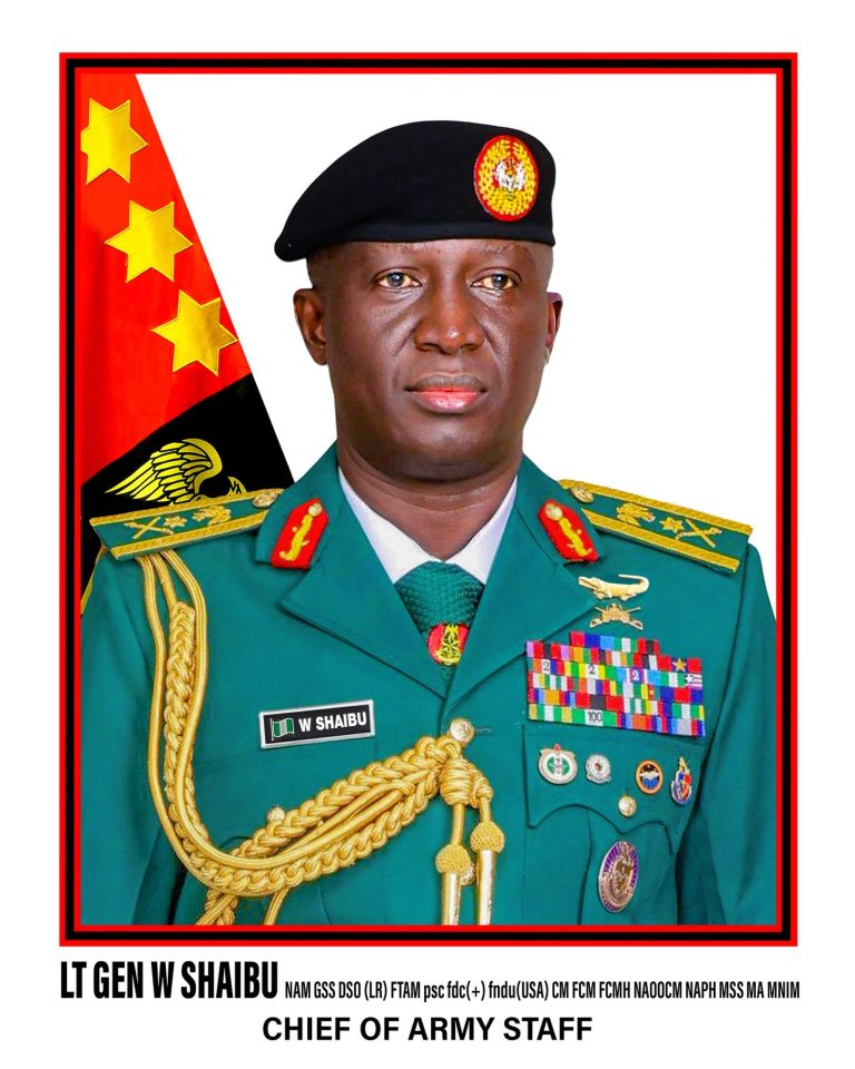 No safe haven for terrorists anywhere in Nigeria - Army chief