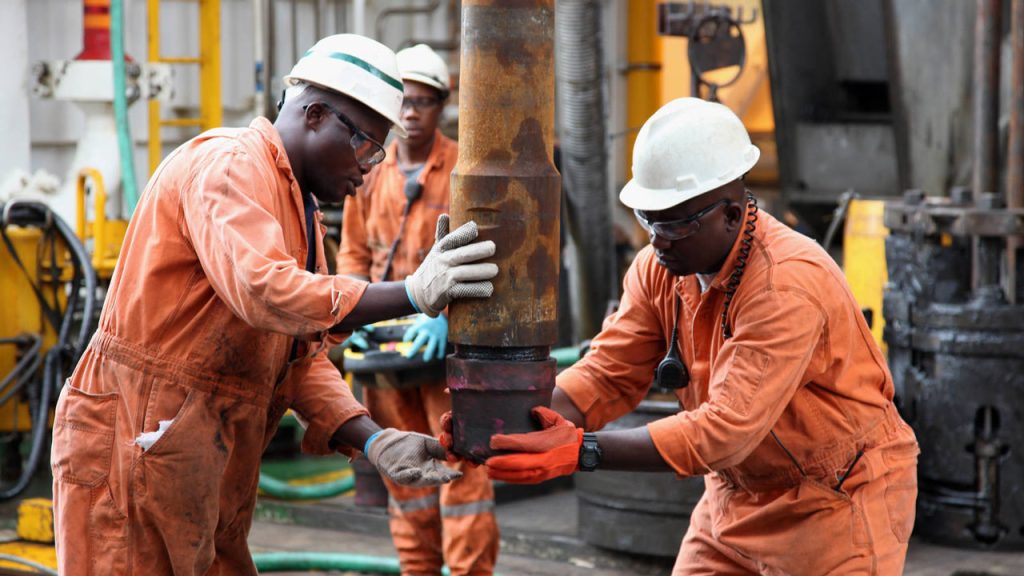 Repeated probe of NNPCL may weaken investor confidence in Nigeria's oil sector - Group to Reps