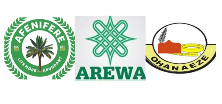 Afenifere, Ohanaeze, Arewa youths take stand on state police ​