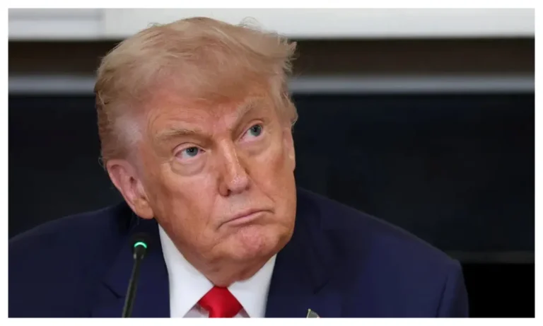 Extend airstrikes to North-East, North-Central - Benue community leaders beg Trump