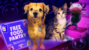 Online Good News 2025 Social Media Trends 300x169