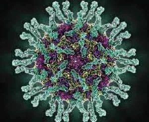 Polio Immunisation Campaign Starts In Kwara State December 6 300x246