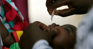 Polio Vaccination Targets 13 Million Adamawa Children 300x158