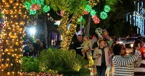 Pretoria Christmas Lights Attract Thousands 300x158