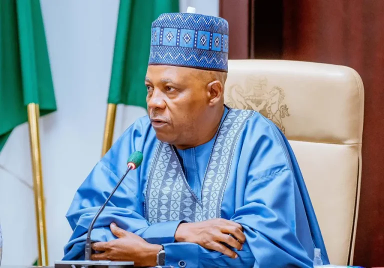 2027: Replacing Shettima will jeopardize Tinubu's reelection - APC chieftain warns