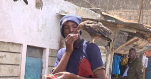 Bird Rescue Expert Saves Injured Wildlife In Kenya 300x158