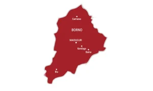 Borno Healthcare Transformation Boosted With Electronic Records 300x178